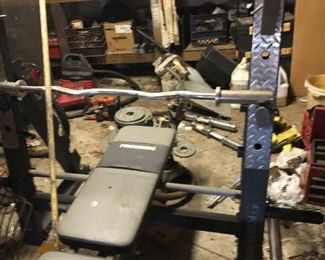 Another Professional style workout bench