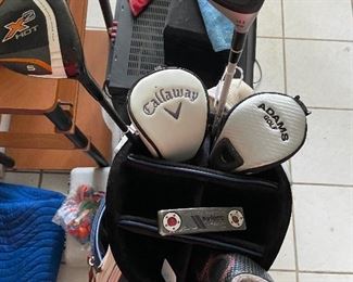 Some single clubs, including Scotty Cameron putter
