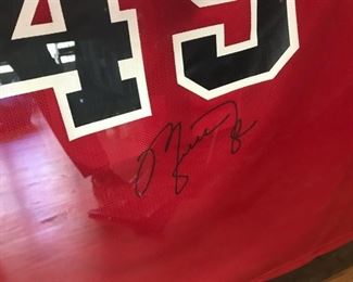 Michael Jordan Autographed Bulls Jersey - 45 and 23, baseball, white sox jersey, baseball bat