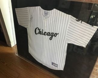Michael Jordan Autographed Bulls Jersey - 45 and 23, baseball, white sox jersey, baseball bat