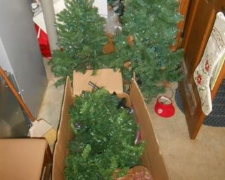 Smaller Christmas trees