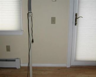 5 foot Natural full spectrum sunlight reading floor lamp