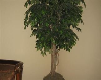 Silk Tree in a porcelain pot