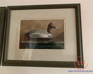 Original Duck Decoy Watercolors by WEBER
