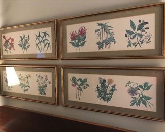 The prints are the artwork for the "Perennials" cookbook by The Gainesville Junior Service League