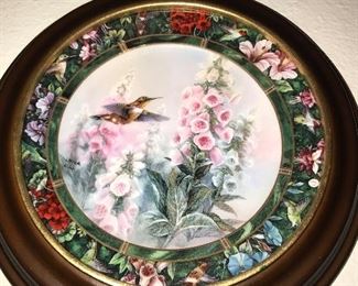 Lina Liu Collector Plate
“The Rufous Hummingbird”