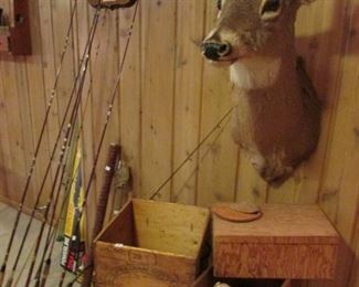 Meet  Frank and friends