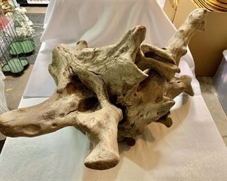 $40 Single piece of driftwood