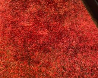 Shag rug