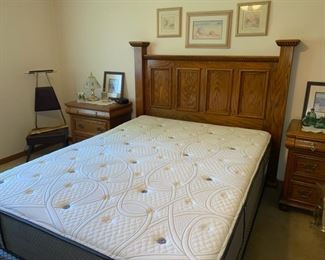 Medicoil HD1000 Queen Mattress & Base