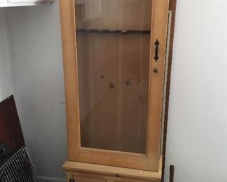 Glass front gun case