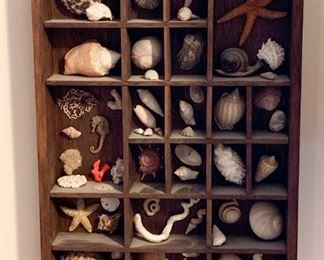 Handmade Seashell Shadowbox / Wall Hanging
