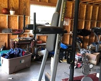 Golds gym weight set