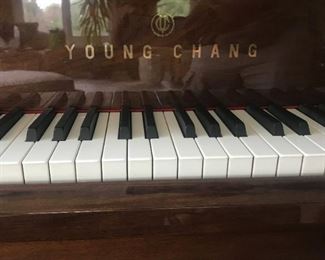 Lot #832 - (detail view)