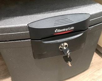 Sentry file folder safe 