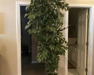 Nice faux ficus tree