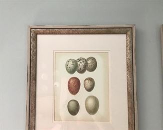 27- $25 each pictures