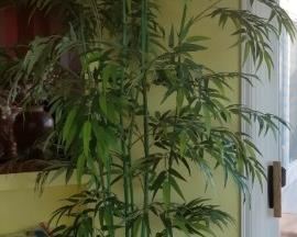 Faux Bamboo