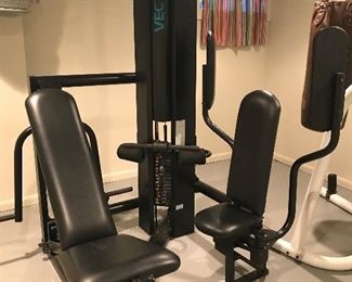 Vectra home gym.