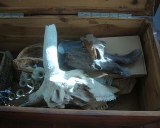 Old steer skull, fish sculpture, etc