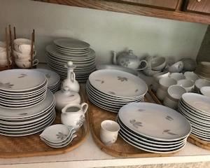 B & G "Falling Leaves" china set