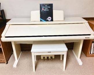 Technics Digital Piano, model number is 
SX-PR900W-M. The serial number is Y96A1089. 