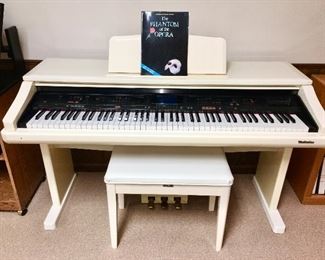 Technics Digital Piano, model number is 
SX-PR900W-M. The serial number is Y96A1089. 