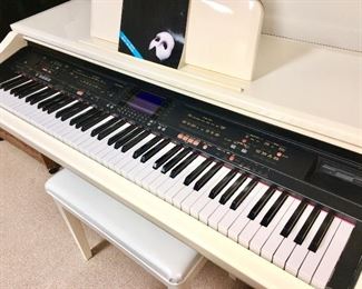 Technics Digital Piano, model number is 
SX-PR900W-M. The serial number is Y96A1089. 
