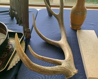 antler