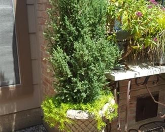Plants and Iron table