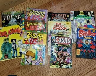Adult comic books and other Gentlemen magazines