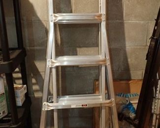 LITTLE GIANT LADDER