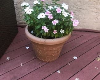 All Planters to be sold