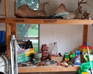 Miscellaneous garage items, more deer heads