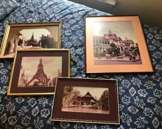 mushrooms foraged from the forest