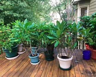 really supportive friends from high school