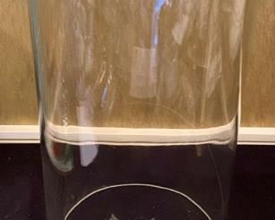 Lot 2402. $50.00. Botanical Glass Cloche. Thick glass (no base) 8" dia, 18"t
