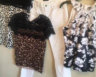 Ann Taylor and White House Black Market Womens Clothing