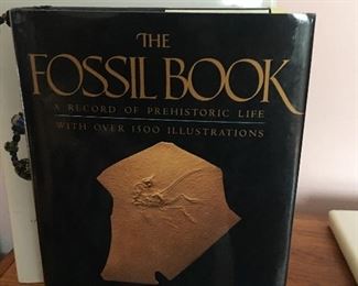 Fossils 
