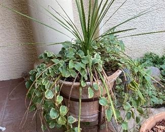 Terra-cotta planter with plant & wrought iron stand 20in diameter 23 in tall