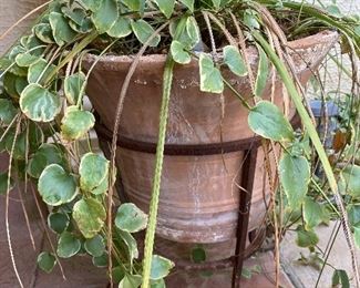 Terra-cotta planter with plant & wrought iron stand 20in diameter 23 in tall