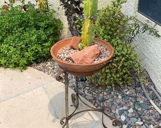 Clay pot with iron stand & organ pipe cactus 44in tall x 16in wide