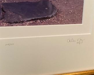 Alan klay beatrix potter farm signed & numbered photograph 25in. X 21in.