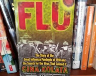 Flu Pandemic  1918 