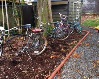 Back Yard:  Bicycles--Small Kids--Larger Adults