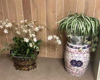 Plants & decorative planters 