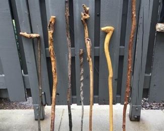 Walking Stick Collection