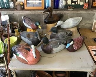 A Variety of Duck Decoys 
