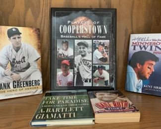 CLEARANCE!  $3.00 now, was $12.00......Baseball Books (P129)