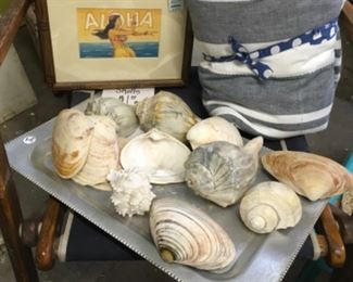 Shells and vintage flannel blankets. 